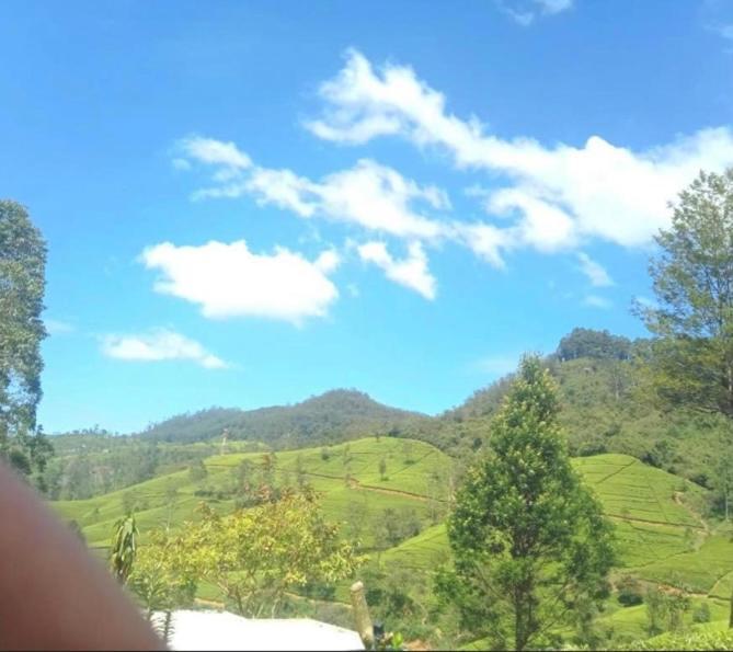 Nuwaraeliya Penthouse Apartment With Pool & Panaromic Views Nuwara Eliya Exteriör bild